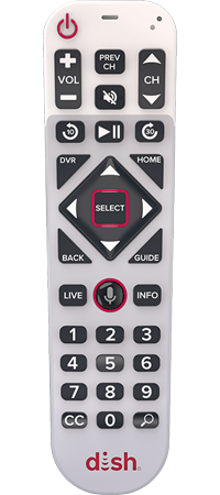 Simplified Voice Remote
