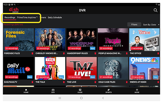 Category drop-down at the top of the DVR screen