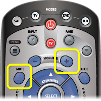 Mute and volume buttons on a 21 remote